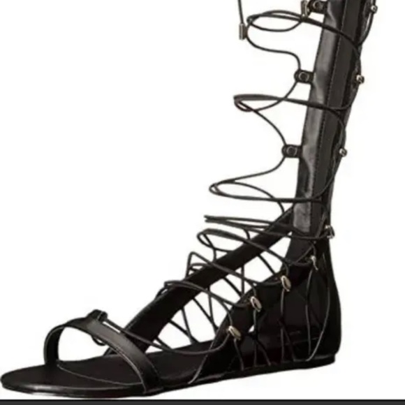 aldo gladiator